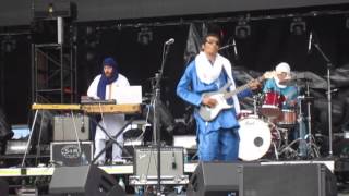 Sasquatch 2013 Bombino Amidinine