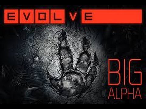 Evolve Big Alpha----------Nub Cake