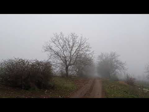 Satul Bursuceni, Călătoresc Sănătos