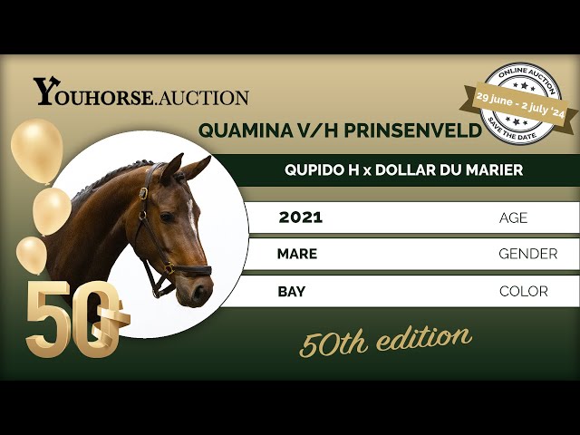 Quamina vh Prinsenveld Z