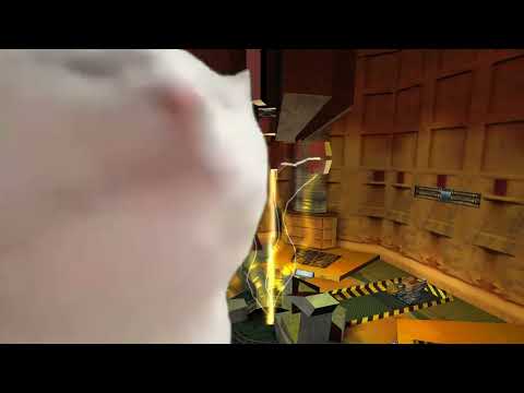 Cat vibes to Half Life credits theme.