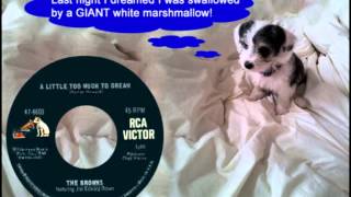 THE BROWNS - A Little Too Much to Dream (1965) Featuring Jim Ed Brown