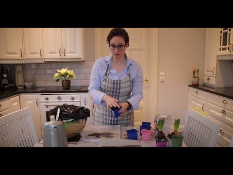 Tessans trädgårdstips Del 1