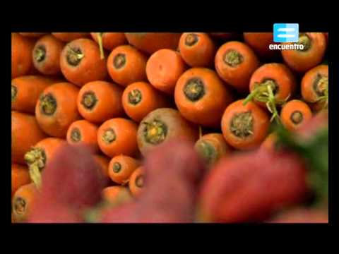 Entornos invisibles de la ciencia y la tecnología (Capítulo 10) - Restaurante