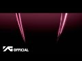 BLACKPINK Pink Venom Visualizer