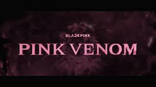 BLACKPINK - ‘Pink Venom’ Visualizer