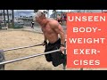 Outdoor workout Calisthenics bodyweight exercises: Rows,Traps/upper back/Biceps/Triceps/Shoulders
