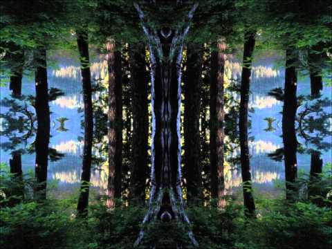 Psychogenetic Soundforce - Somekind Of Old