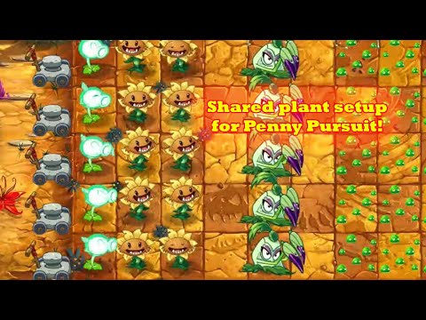 Subscriber plant setup for penny pursuit | Plants vs Zombies 2