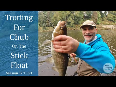 Trotting the River Wye For Chub - Stick Float Fishing - 17/10/21 (Video 278)