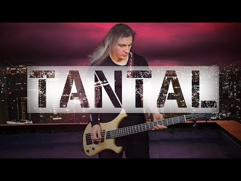 Tantal "Эхо тишины" - bass playthrough - Ivan Izotov