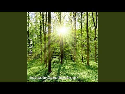 Forest Bathing Summer Breeze Sounds, Pt. 20