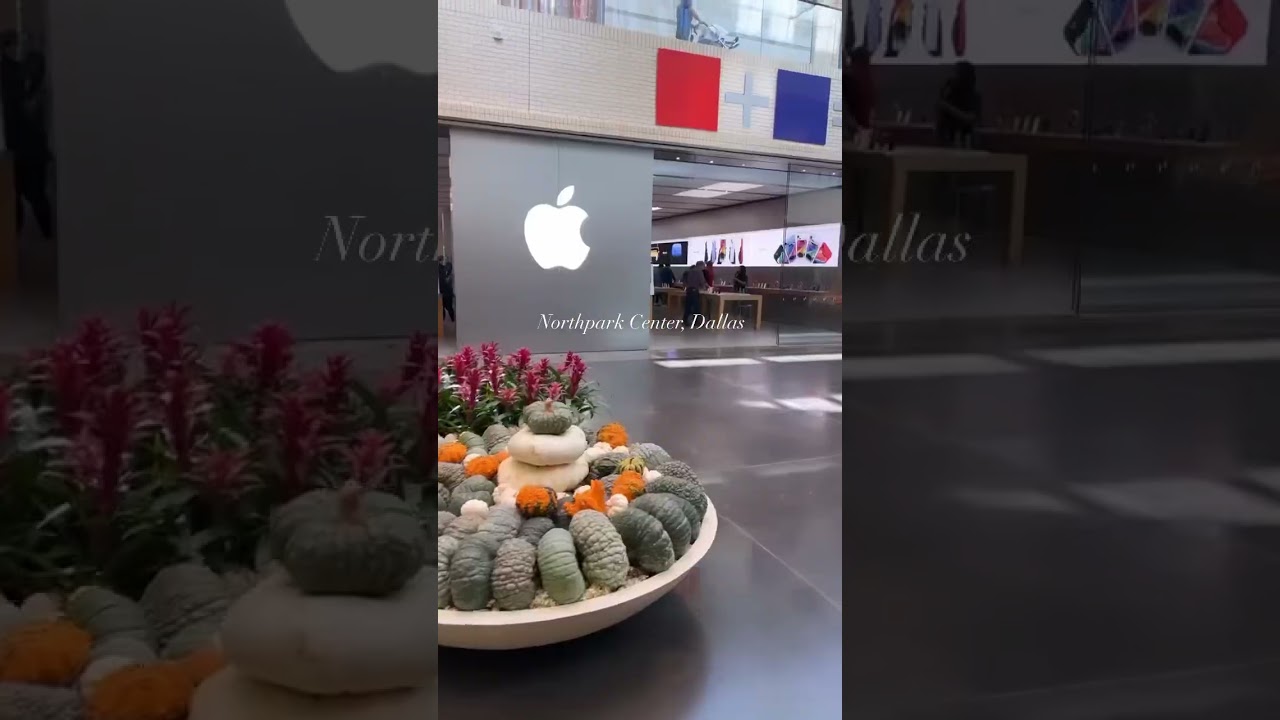 3 hours at Northpark Center in Dallas 👕👟🏢 #dallas #dallastexas #northpark
