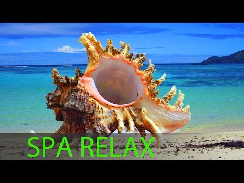 6 Hour Relaxing Spa Music, Calming Music, Background Music, Sleep Music, Spa, Massage Music, ☯357