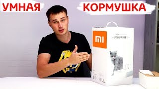 10 крутых подарков для кошек и их владельцев