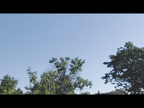 Laguna Alb - Champions Craiova