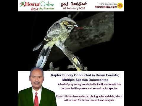 Bird of Prey Survey Conducted in Hosur Forests; Data Submitted for Further Study
