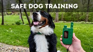 Dog Training Collar with Safe Control Options