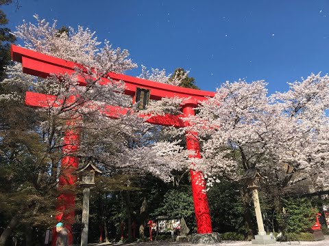 社会福祉学科 エンディング～がんサバイバーの社会的役割と治療の調和に向けた看護アルゴリズム支援～