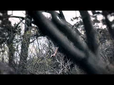 Arrow 1x1 Oliver's Escape [HD CLIP]