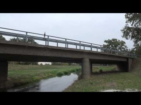 Entsiegelung und Bepflanzung - LAUSITZWELLE