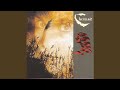 The Hunter - Clannad - Topic The Hunter