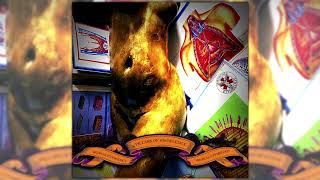 Medical Etymology - Medicocriminal Entomology (TCME Cover)