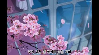 [가사] Chamsom (참깨와 솜사탕) - 진달래 (Azalea)