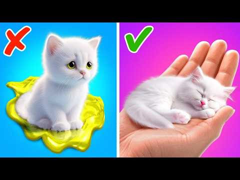 Salvamos este gatinho fofo!😻💖 Gadgets para gatos fofos e truques para animais de estimação