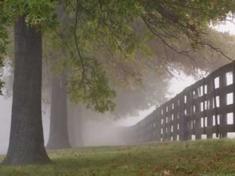 "Whisper of a thrill" - Pictures of fog, mist, haze