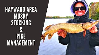 Wisconsin Musky Stocking and Pike Management
