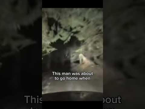 Proof that dinosaurs still exist #science