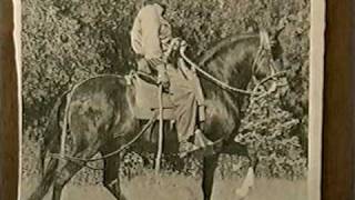 1-2 Don Juan Pardo - Caballo de Paso Peruano
