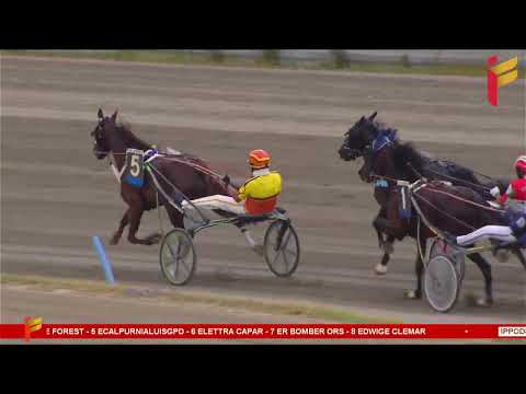 IV Corsa del 13 Maggio 2023 - 3 Anni - Metri 1600