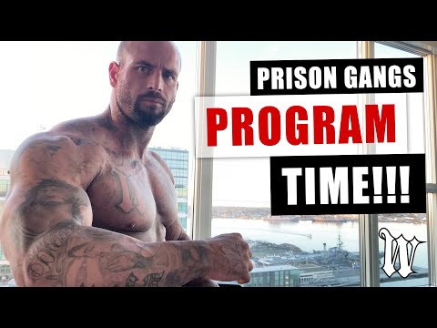 Prison Gangs : Program Time!!!