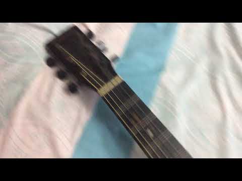 Eastcoast Handmade ElectroAcoustic Guitar Review