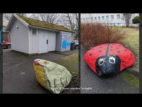 Fasadprojektet del 383: kvarteren Gullvivan och Svalörten