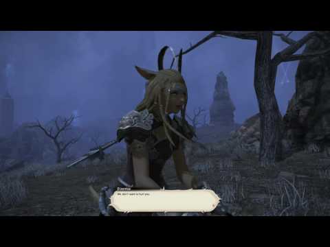 [PC] FFXIV 3.0 (Monk) - Against the Shadow (Lv54)
