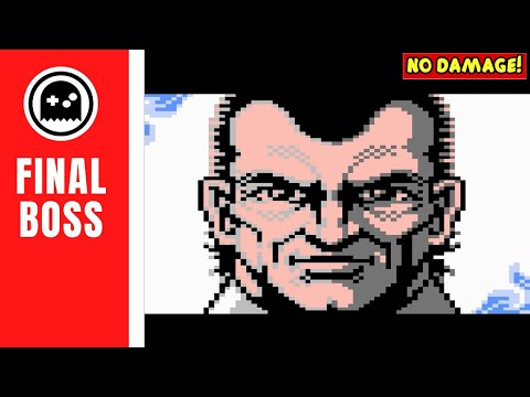 Vice Project Doom (NES) - Final Boss - (No Damage)