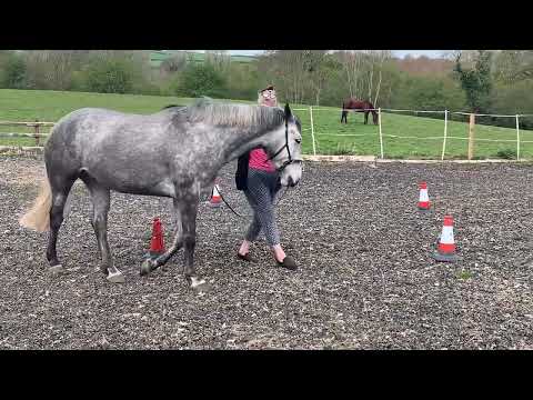 Annabelle BT April22