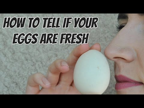 How to Tell if Your Eggs Are Fresh