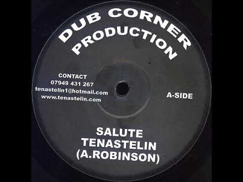 Tena Stelin - Salute + Dub