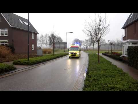 A1 20-101 : KAPITEIN BOSCAMPBRINK HALSTEREN