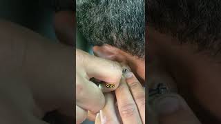 Ele prendeu a TARRAXA! #curiosidades #shorts