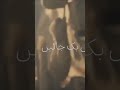 Nasheed Kurulus Osman