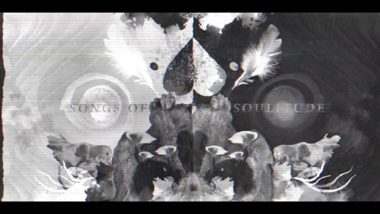 Dream on Dreamer - Violent Pictures