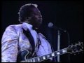 B.B. KING / All Over Again