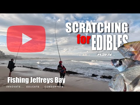 Scratching for Edibles in Jeffreys Bay | Monster Zebra& Blacktail | ASFN Rock & Surf