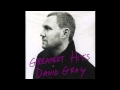 David Gray - "Flame Turns Blue"