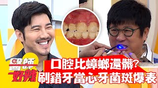 口腔比蟑螂還髒？刷錯牙當心牙菌斑爆表？！【#醫師好辣】20211202 part2 EP1246 朱宇謀 柯世祐